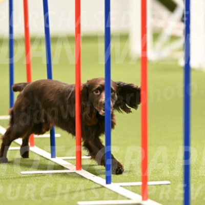 Gus-Jessica-Kotuba-09858