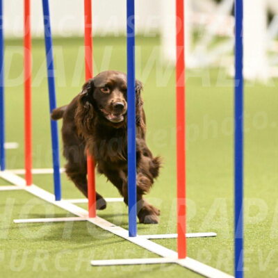 Gus-Jessica-Kotuba-09859