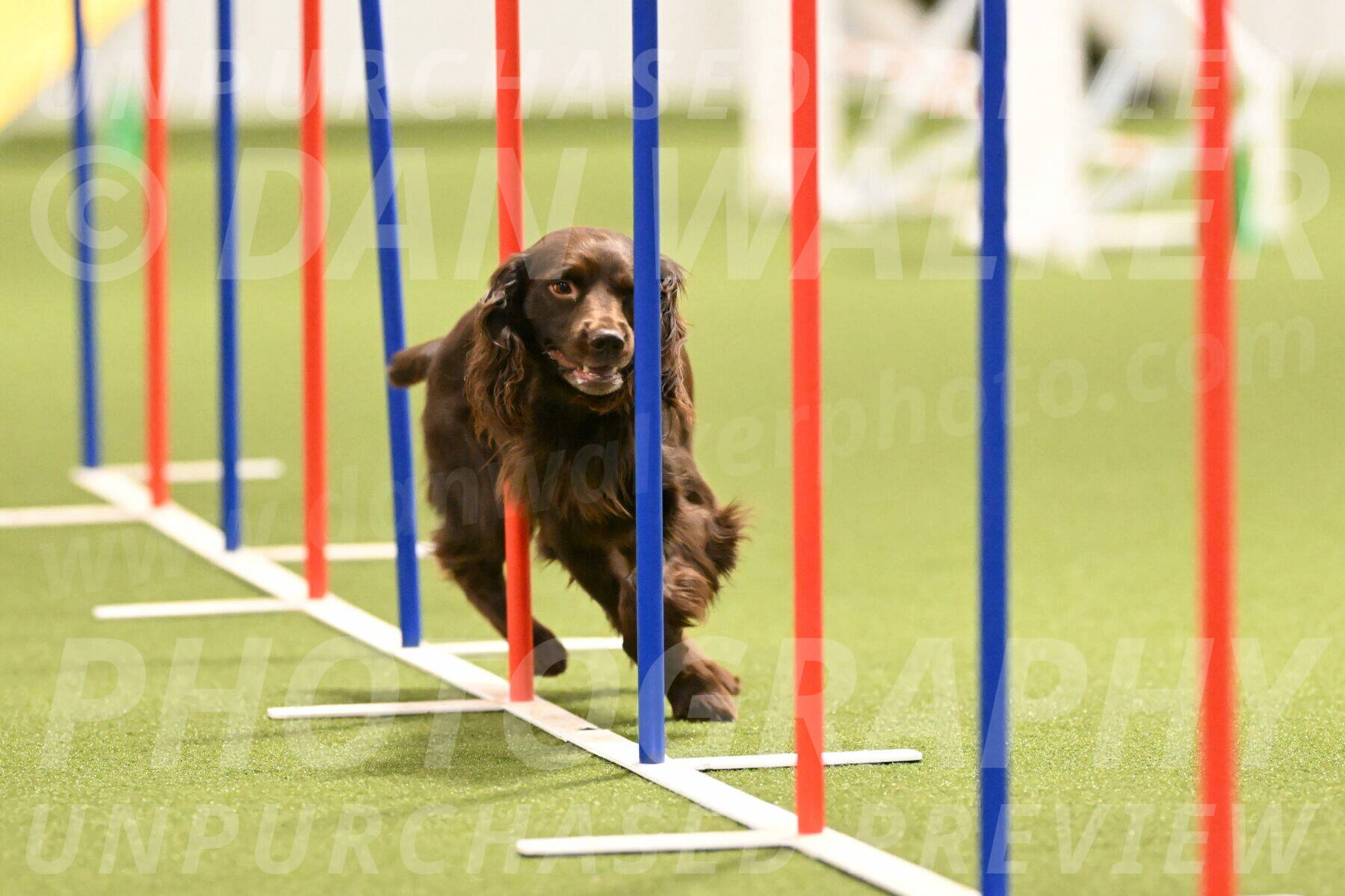 Gus-Jessica-Kotuba-09859