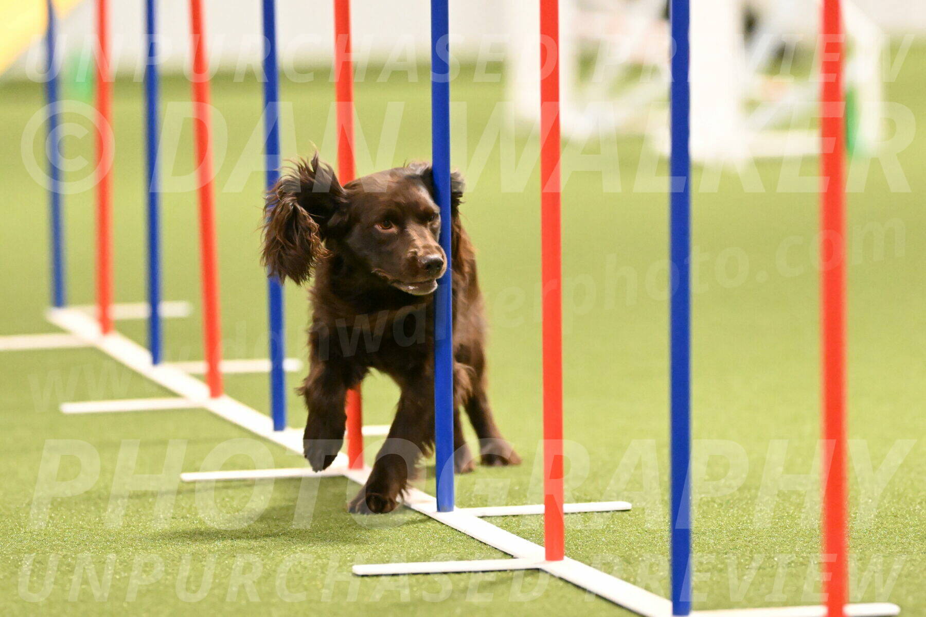 Gus-Jessica-Kotuba-09860