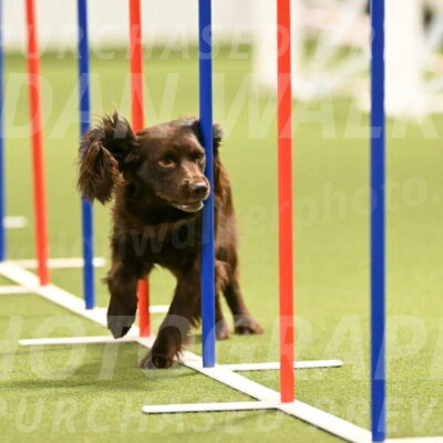 Gus-Jessica-Kotuba-09860