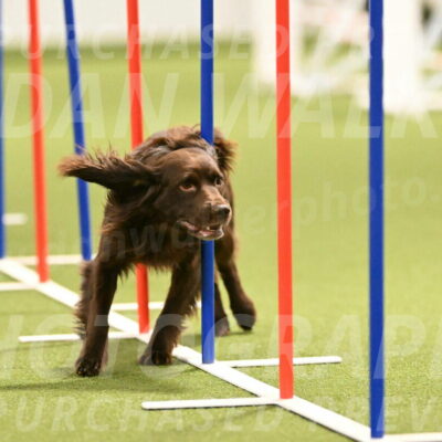 Gus-Jessica-Kotuba-09861