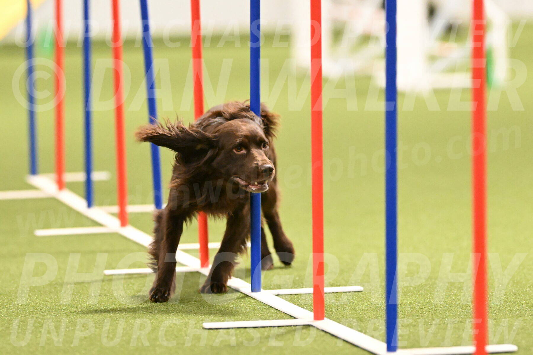 Gus-Jessica-Kotuba-09861