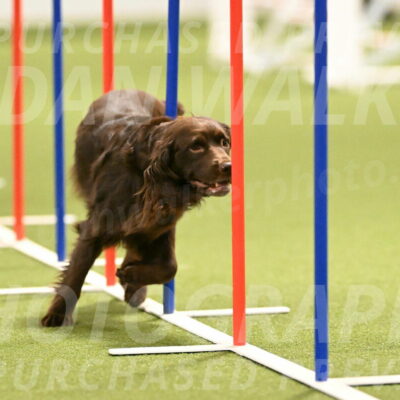 Gus-Jessica-Kotuba-09862