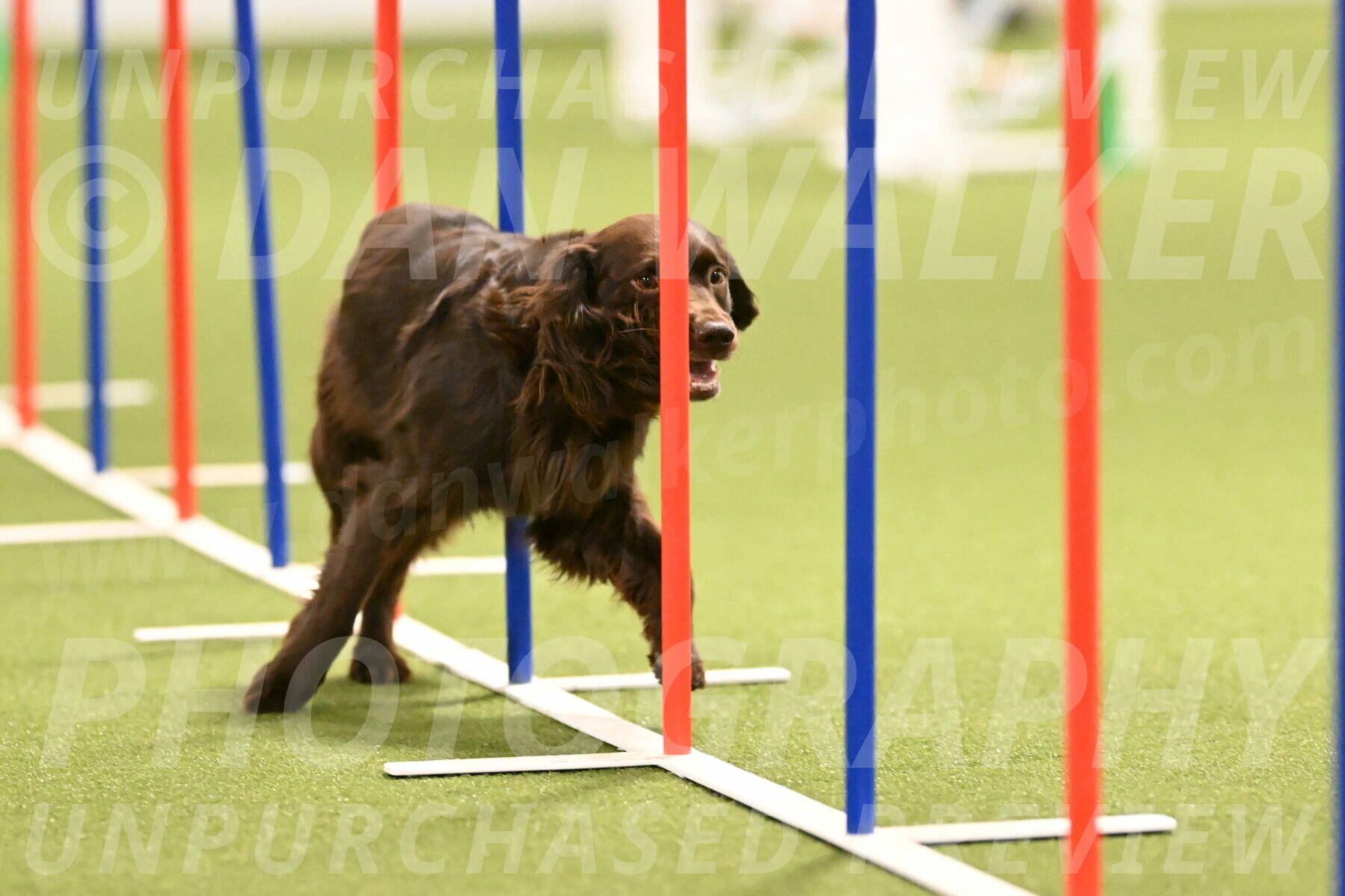 Gus-Jessica-Kotuba-09863