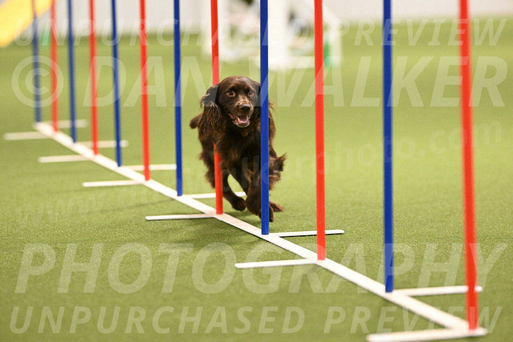 Gus-Jessica-Kotuba-09864