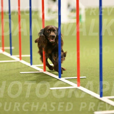 Gus-Jessica-Kotuba-09864