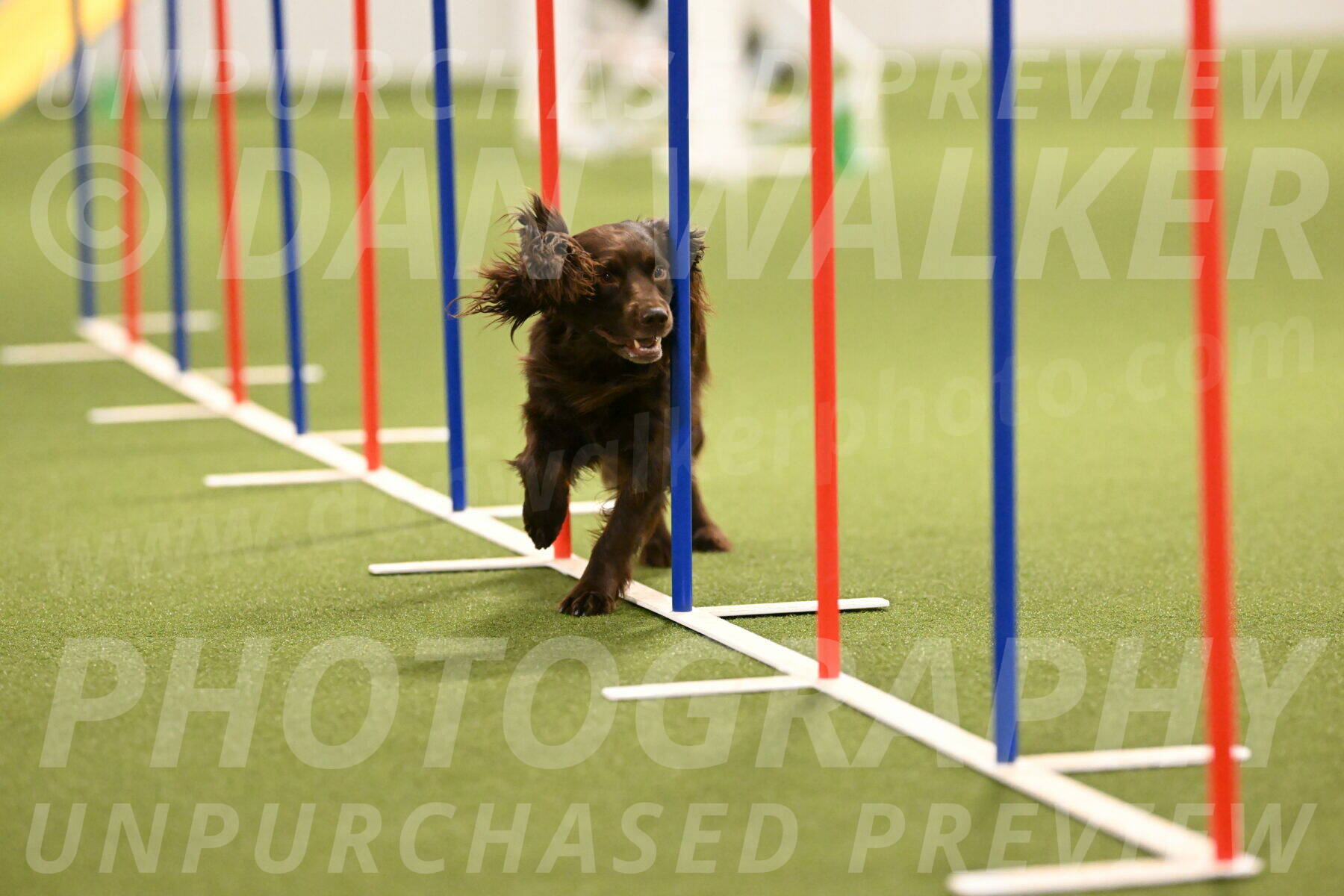 Gus-Jessica-Kotuba-09865