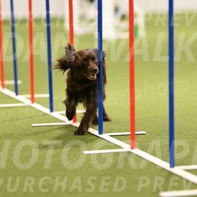 Gus-Jessica-Kotuba-09865