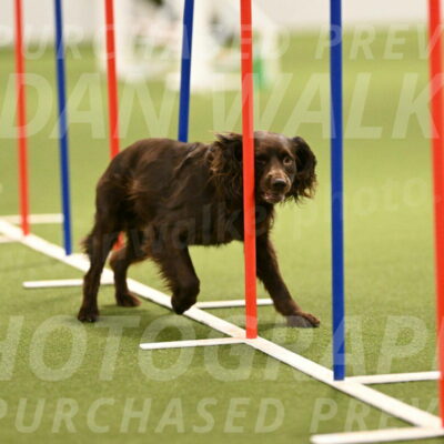 Gus-Jessica-Kotuba-09866