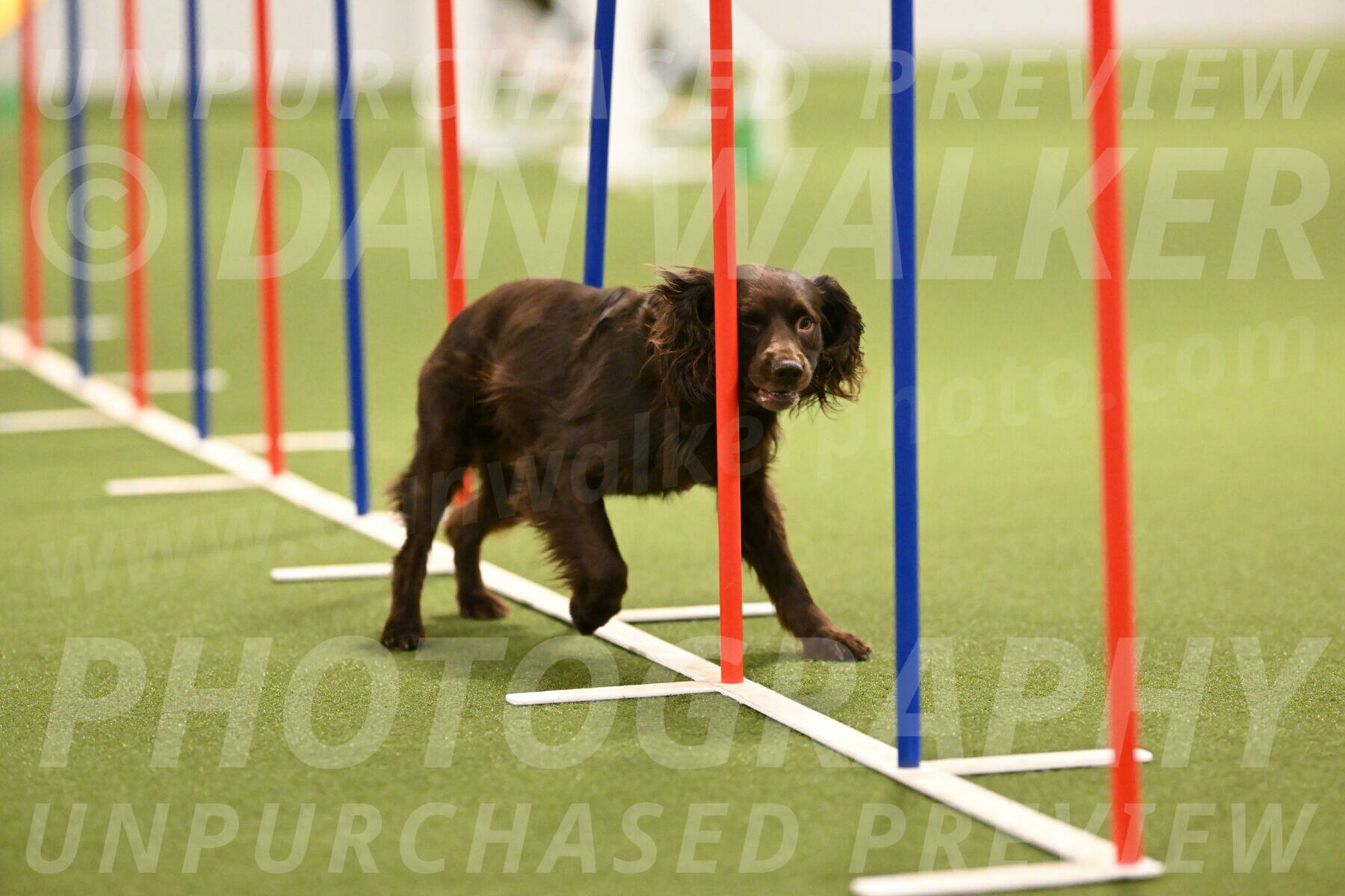 Gus-Jessica-Kotuba-09866