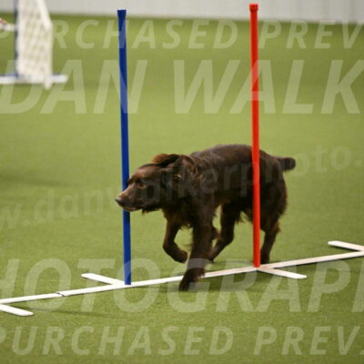 Gus-Jessica-Kotuba-09867