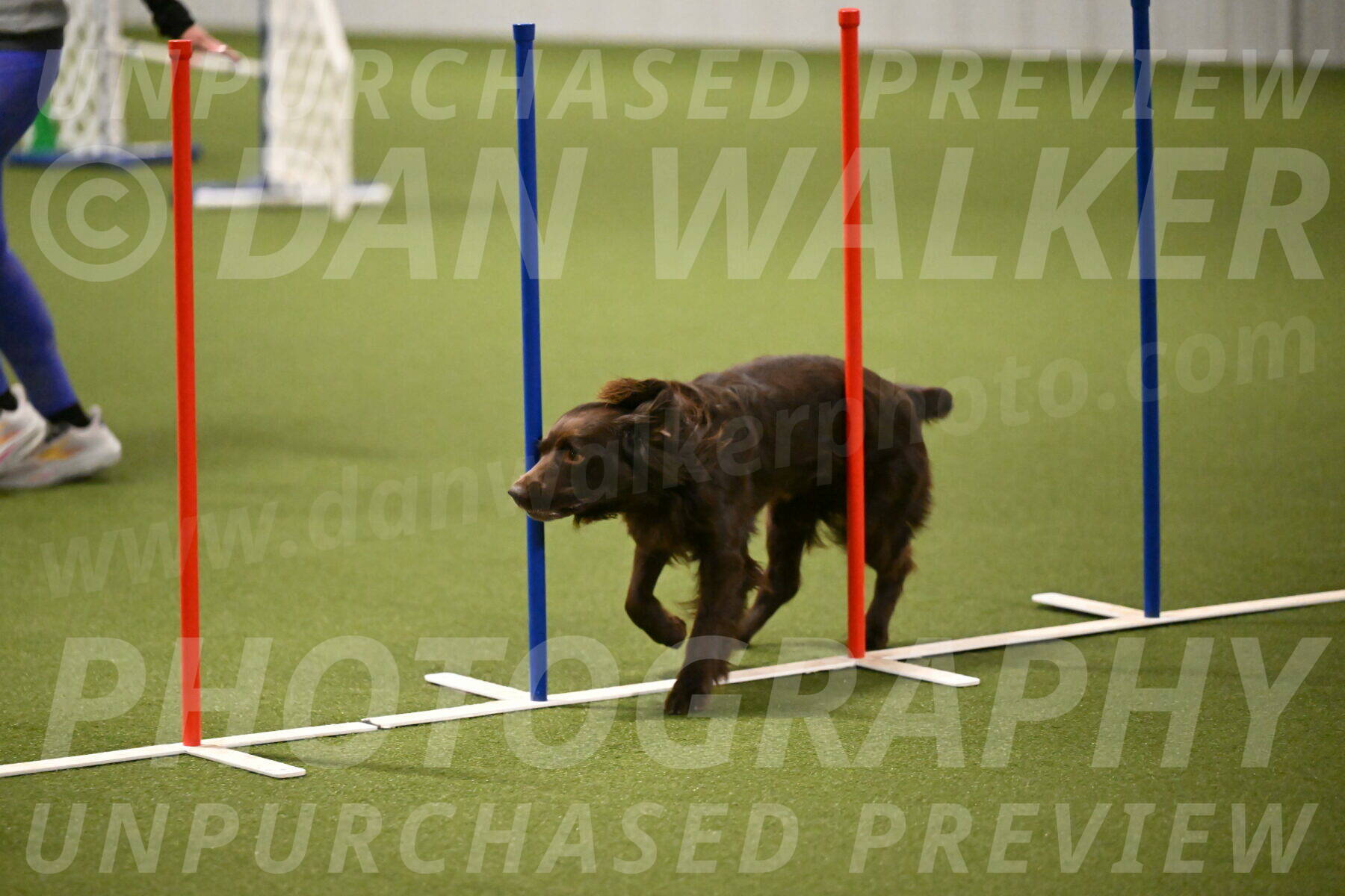 Gus-Jessica-Kotuba-09867