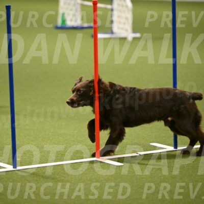 Gus-Jessica-Kotuba-09868