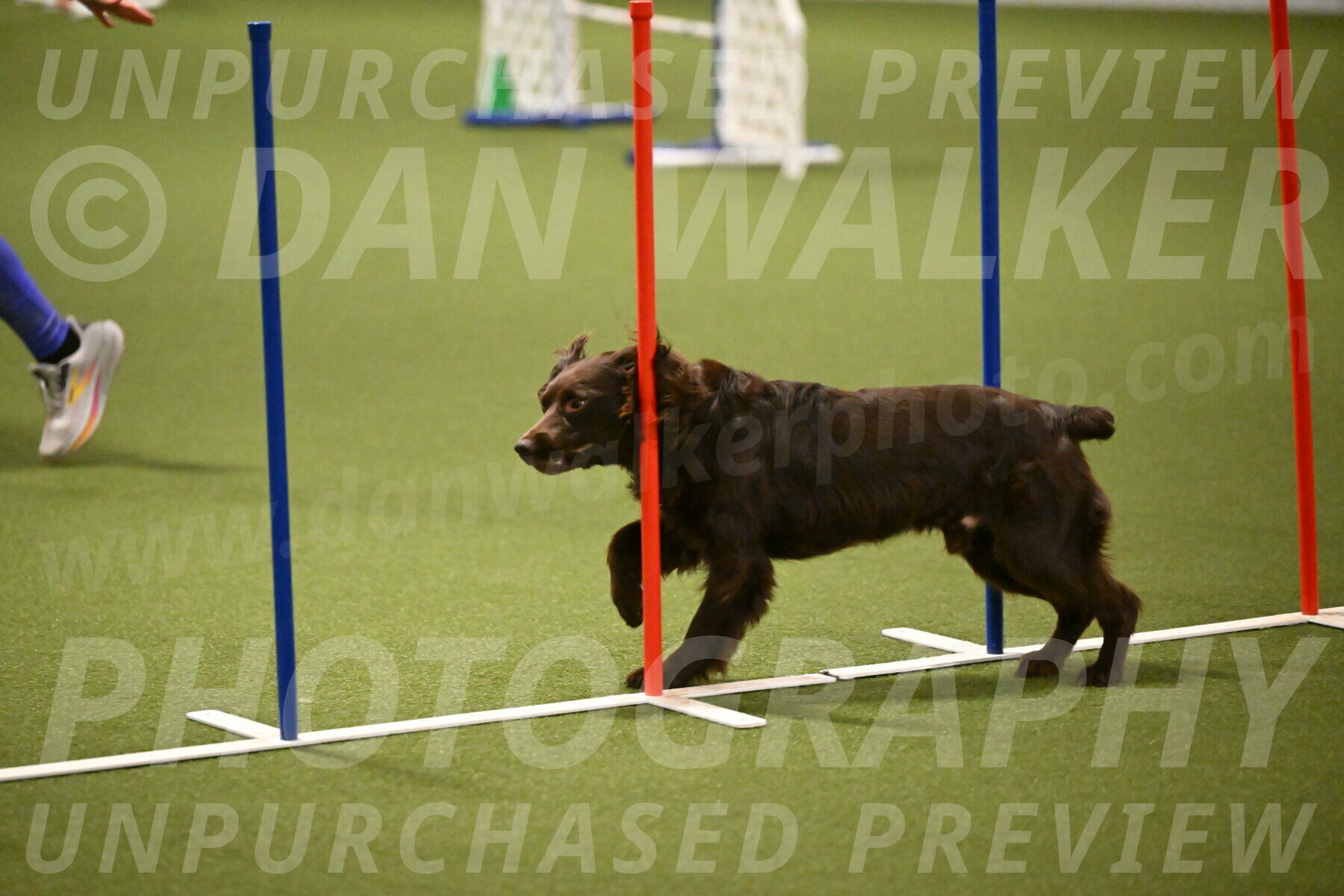 Gus-Jessica-Kotuba-09868