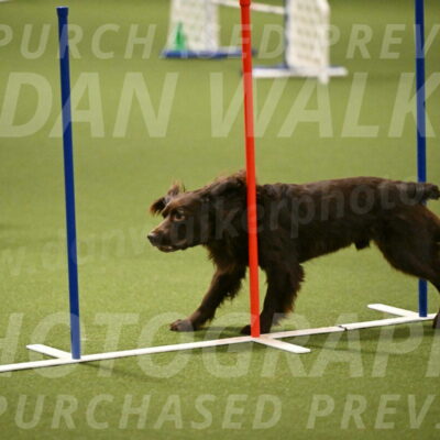 Gus-Jessica-Kotuba-09869