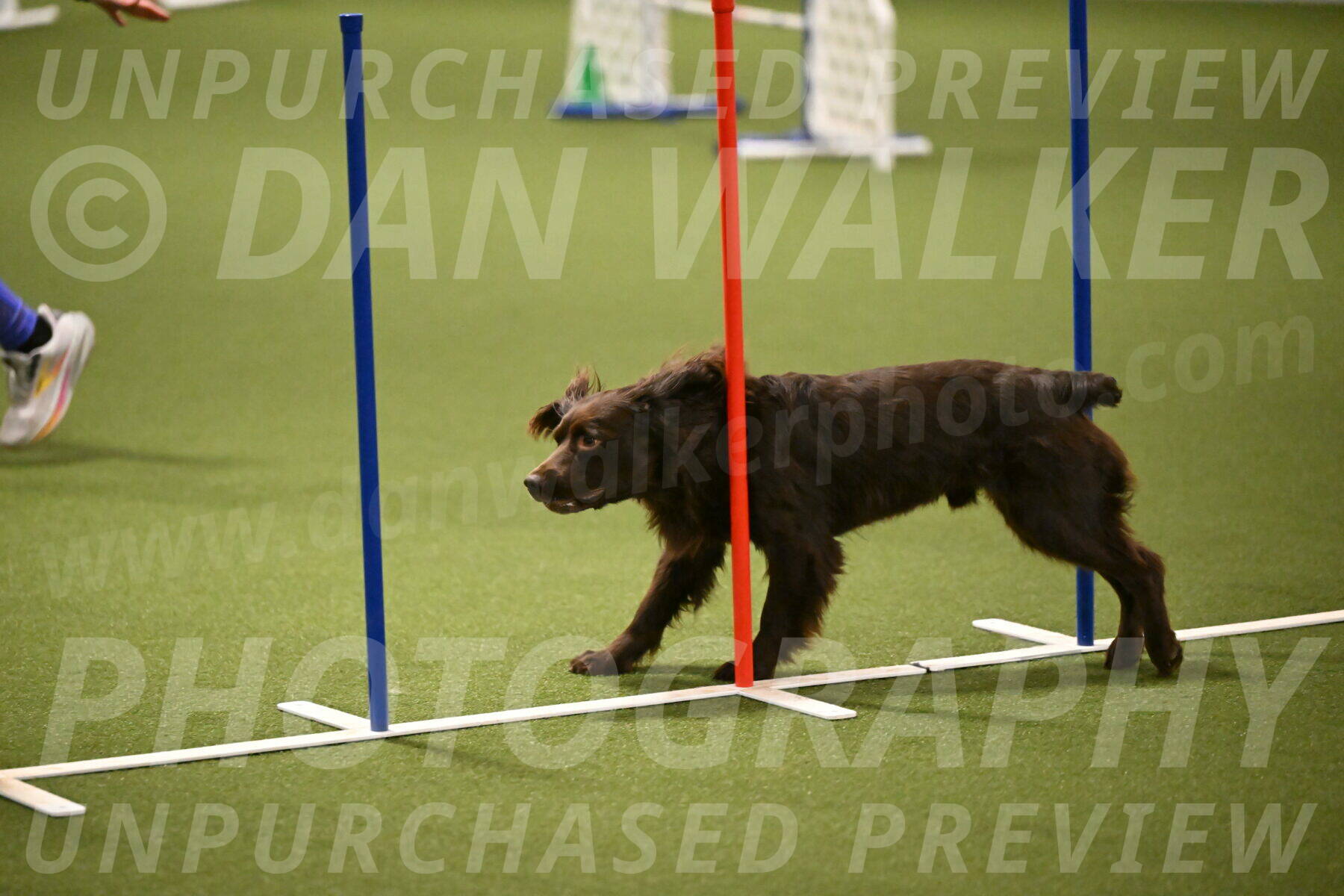 Gus-Jessica-Kotuba-09869