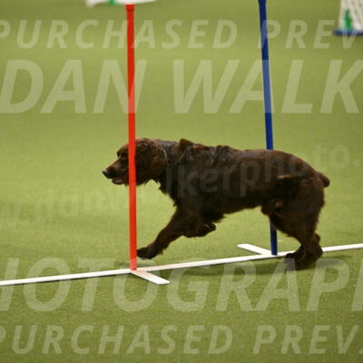 Gus-Jessica-Kotuba-09870