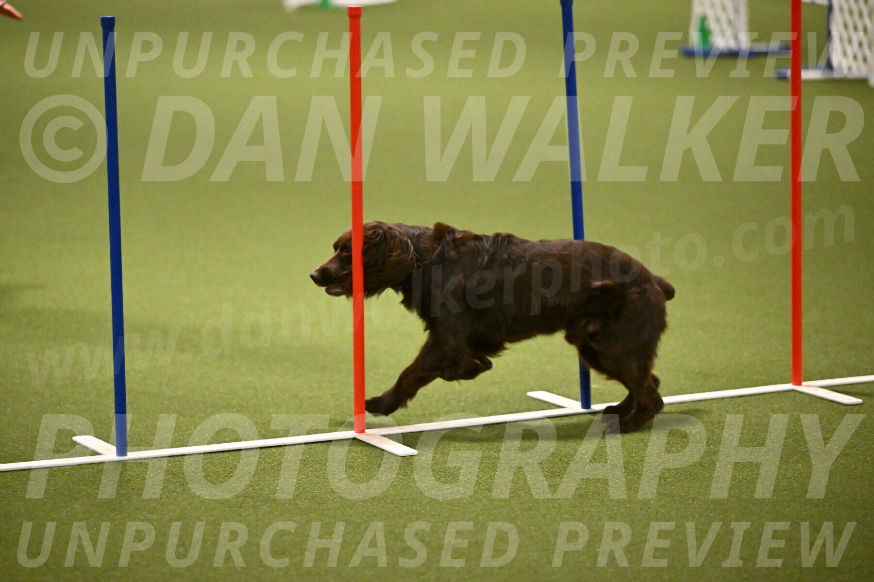 Gus-Jessica-Kotuba-09870