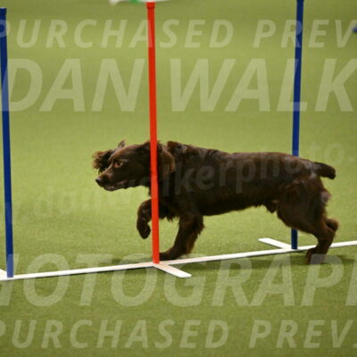 Gus-Jessica-Kotuba-09871