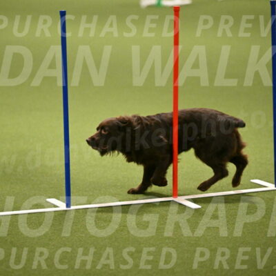 Gus-Jessica-Kotuba-09872