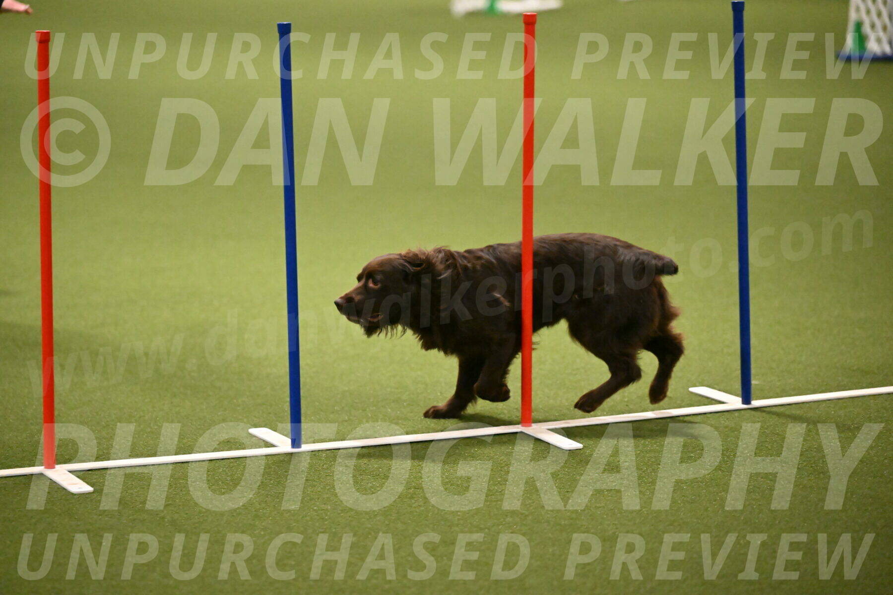 Gus-Jessica-Kotuba-09872