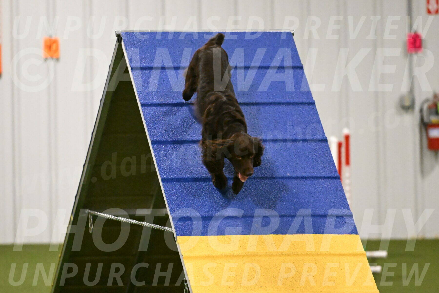 Gus-Jessica-Kotuba-09873