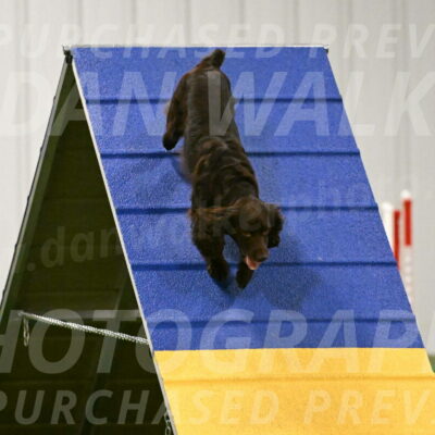 Gus-Jessica-Kotuba-09873