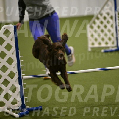 Gus-Jessica-Kotuba-09874