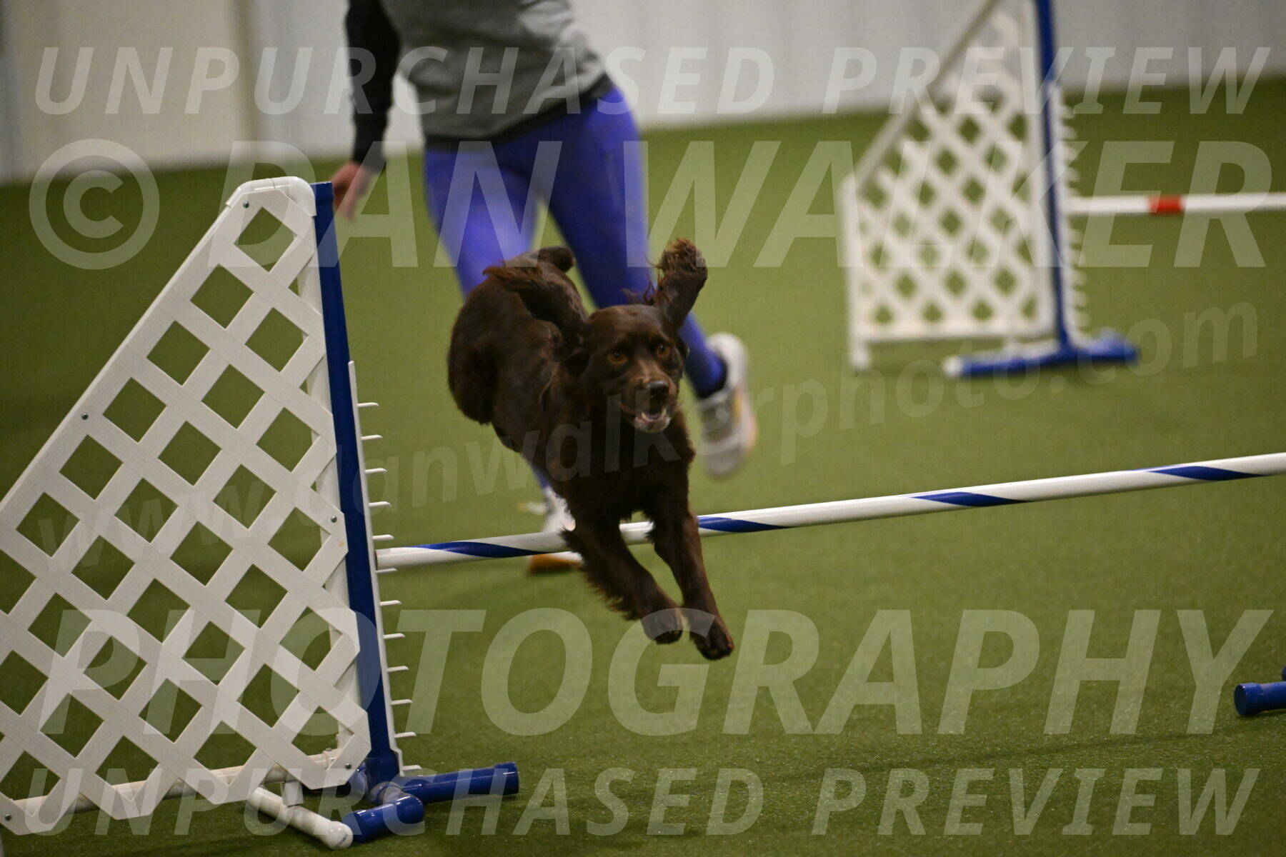 Gus-Jessica-Kotuba-09874