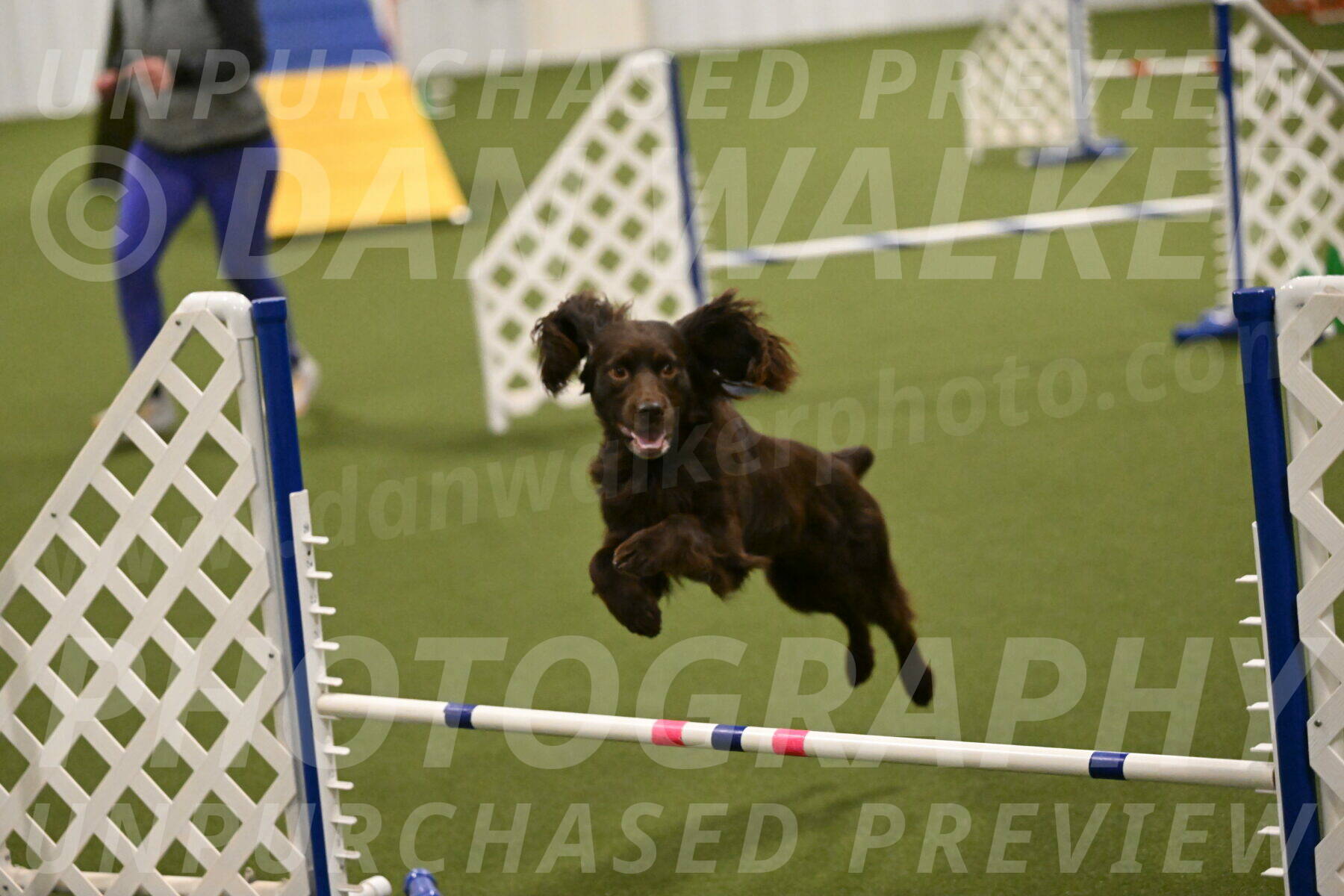 Gus-Jessica-Kotuba-09875