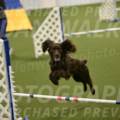 Gus-Jessica-Kotuba-09875