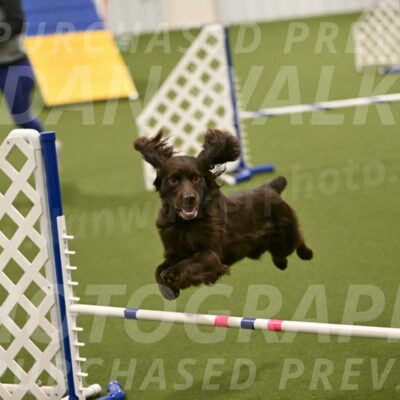 Gus-Jessica-Kotuba-09876