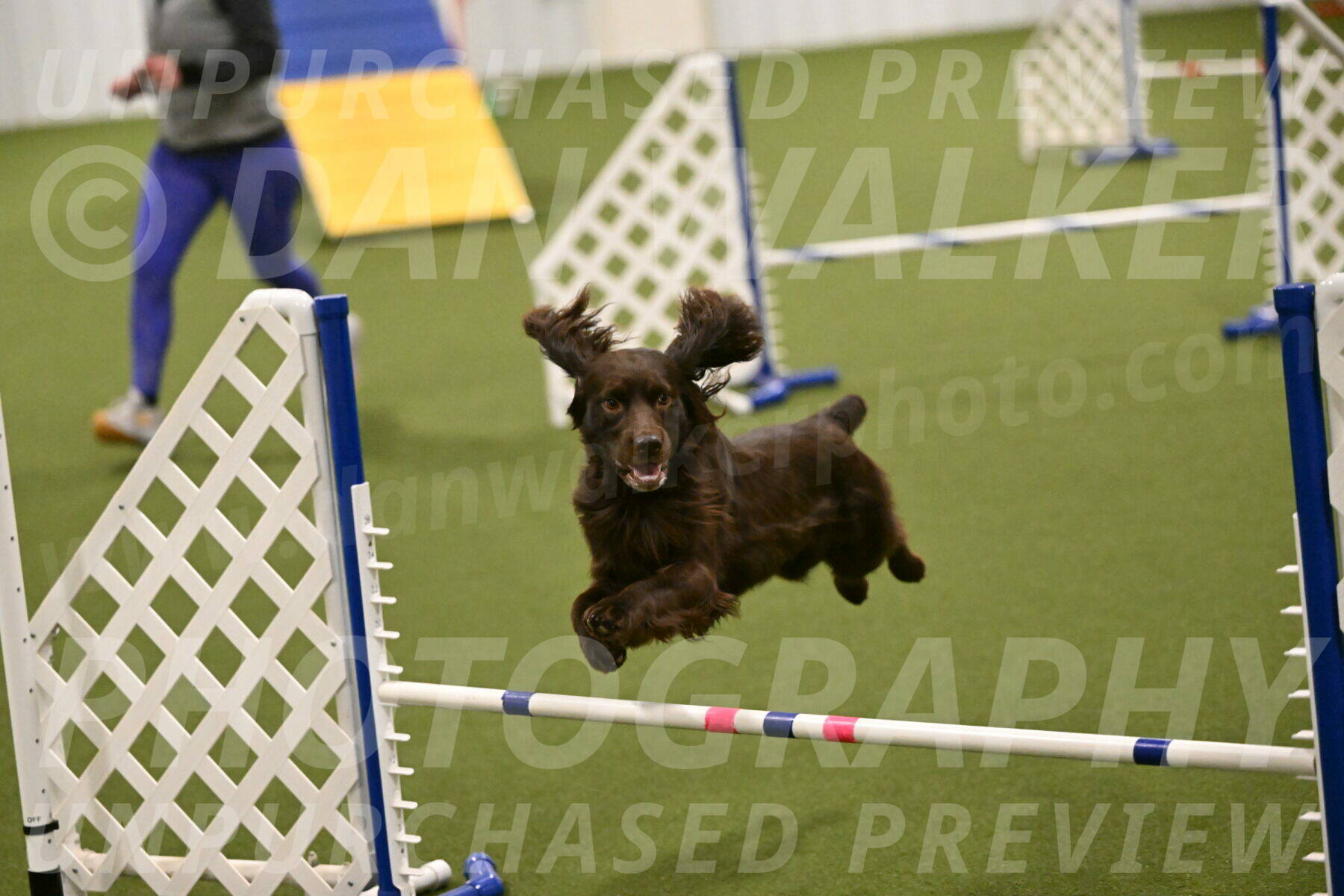 Gus-Jessica-Kotuba-09876