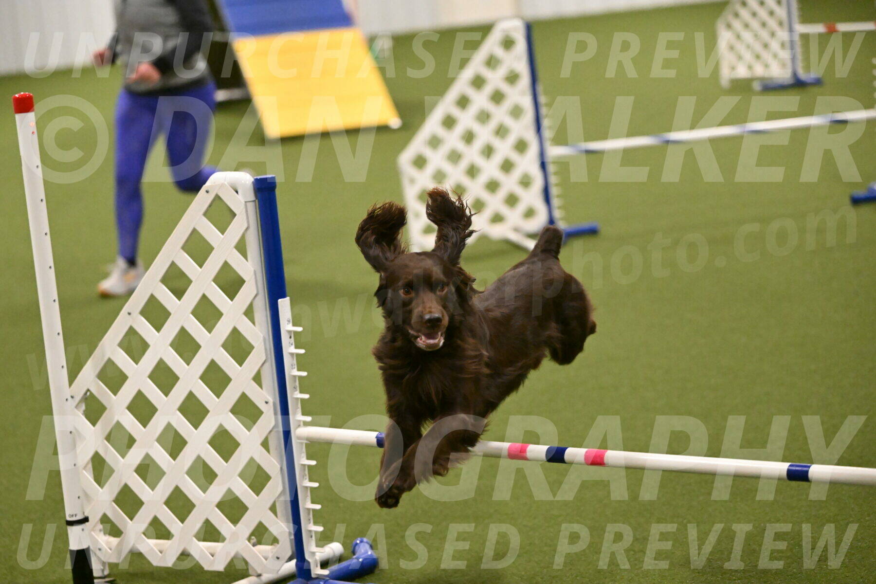 Gus-Jessica-Kotuba-09877