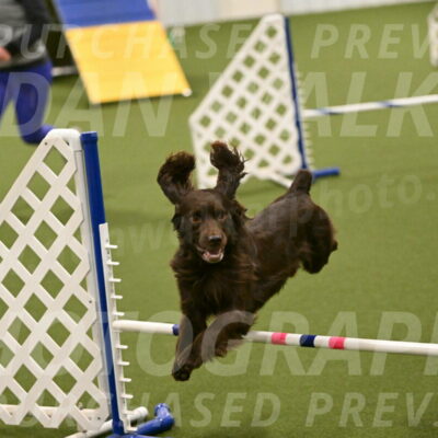 Gus-Jessica-Kotuba-09877