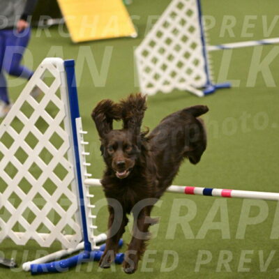 Gus-Jessica-Kotuba-09878