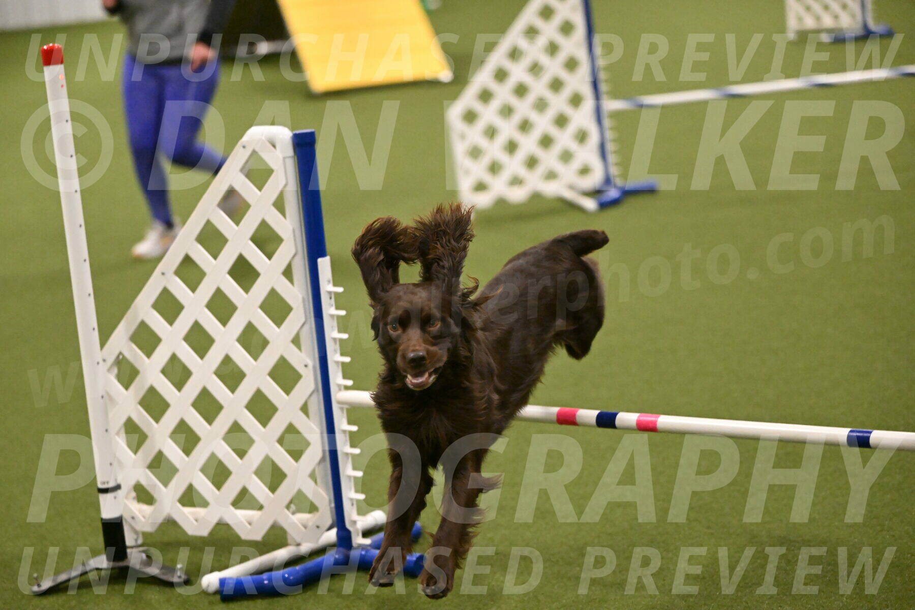 Gus-Jessica-Kotuba-09878