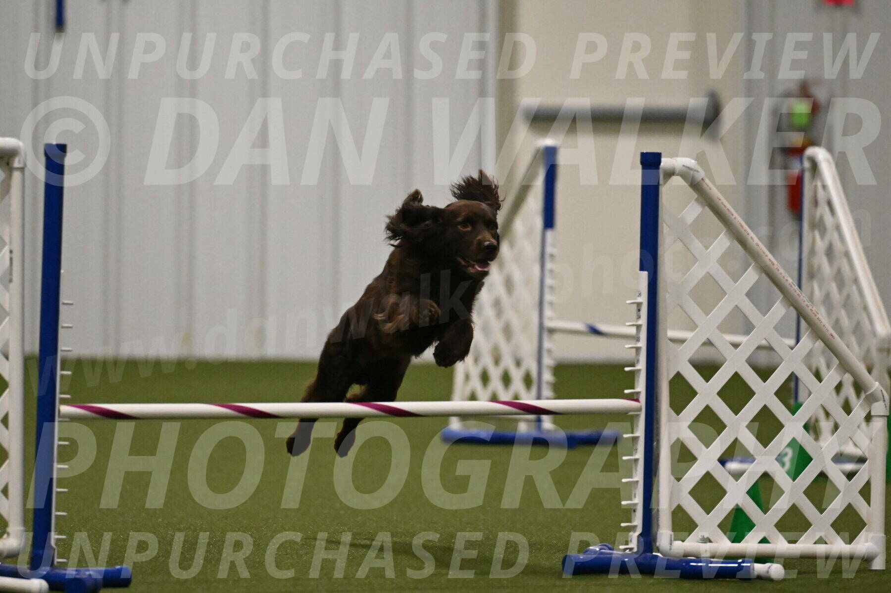 Gus-Jessica-Kotuba-09879