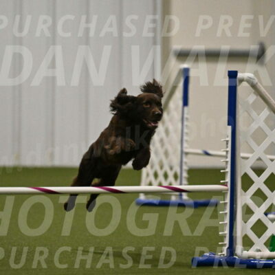 Gus-Jessica-Kotuba-09879