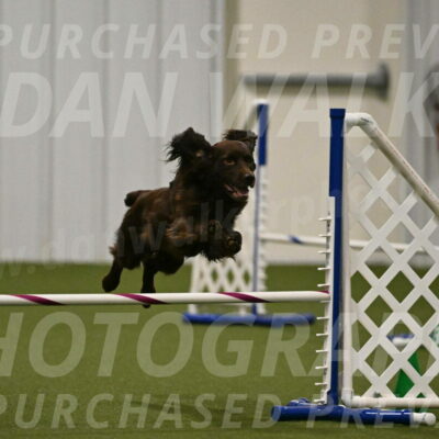 Gus-Jessica-Kotuba-09880