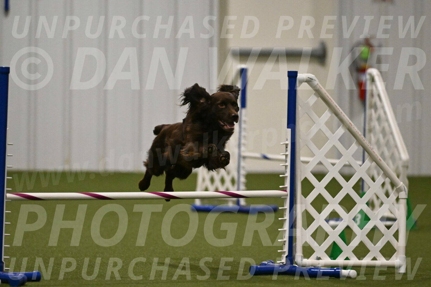 Gus-Jessica-Kotuba-09880