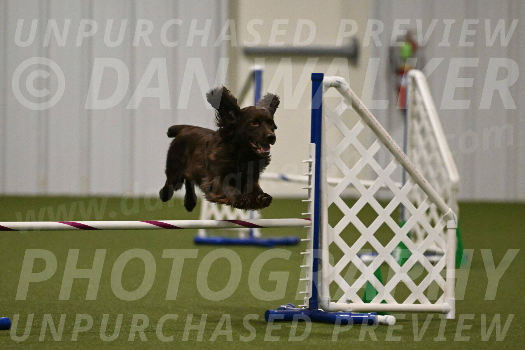 Gus-Jessica-Kotuba-09881