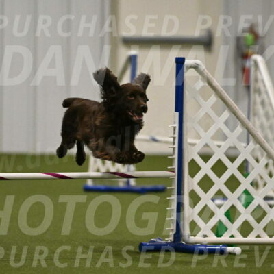 Gus-Jessica-Kotuba-09881