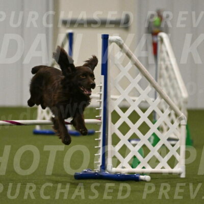 Gus-Jessica-Kotuba-09882