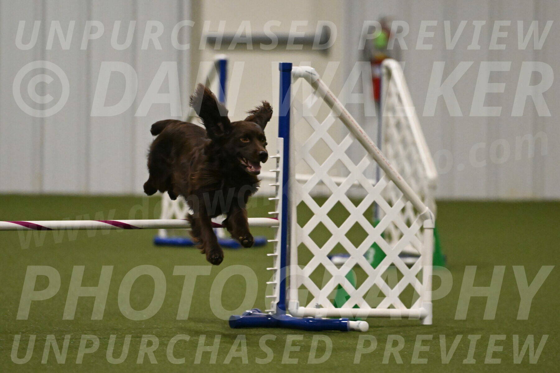 Gus-Jessica-Kotuba-09882