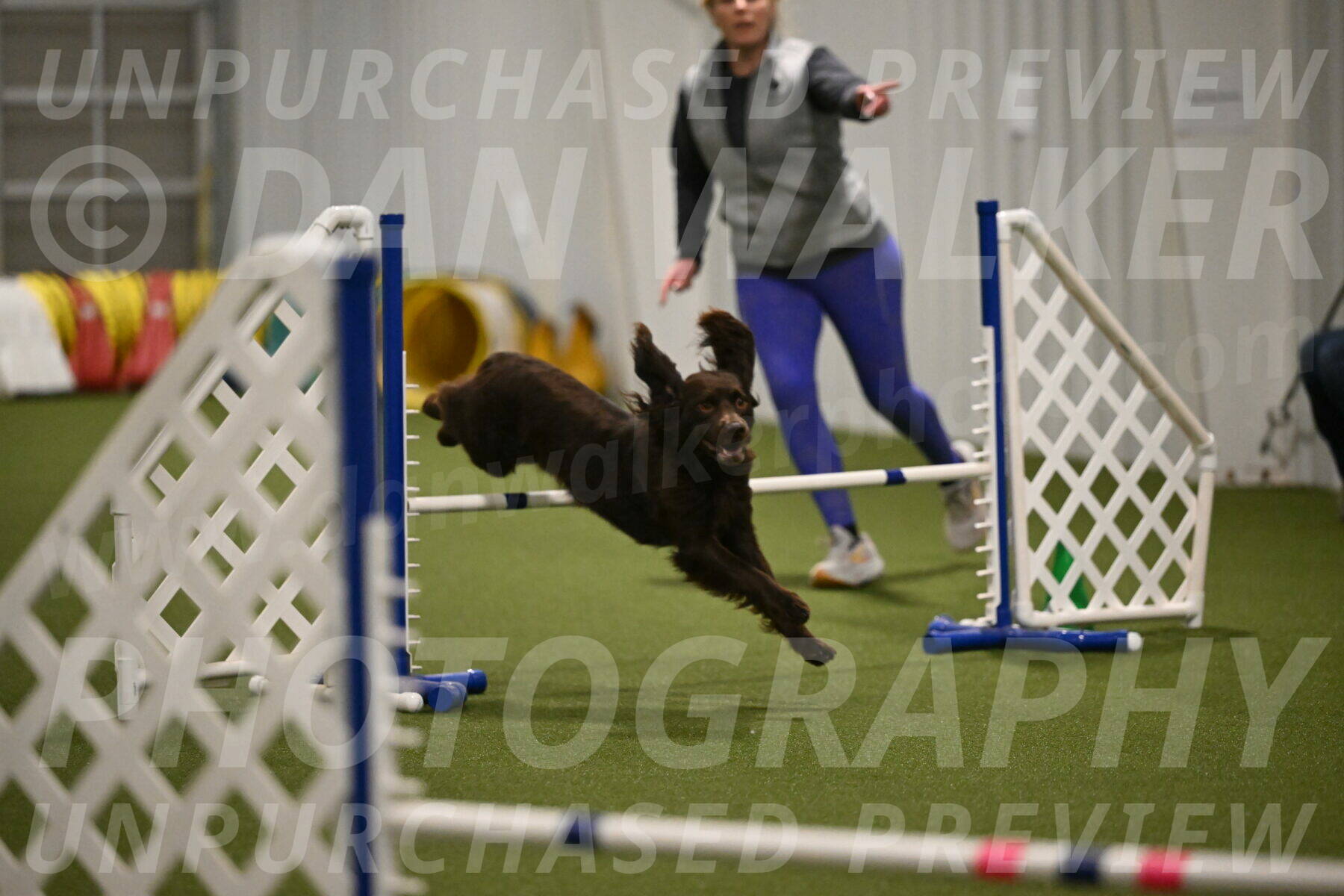 Gus-Jessica-Kotuba-09883