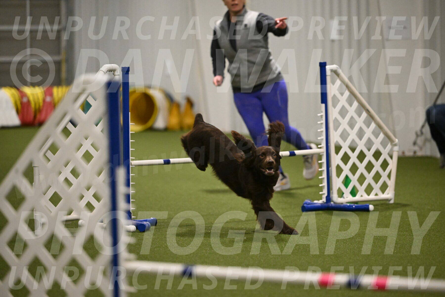 Gus-Jessica-Kotuba-09884