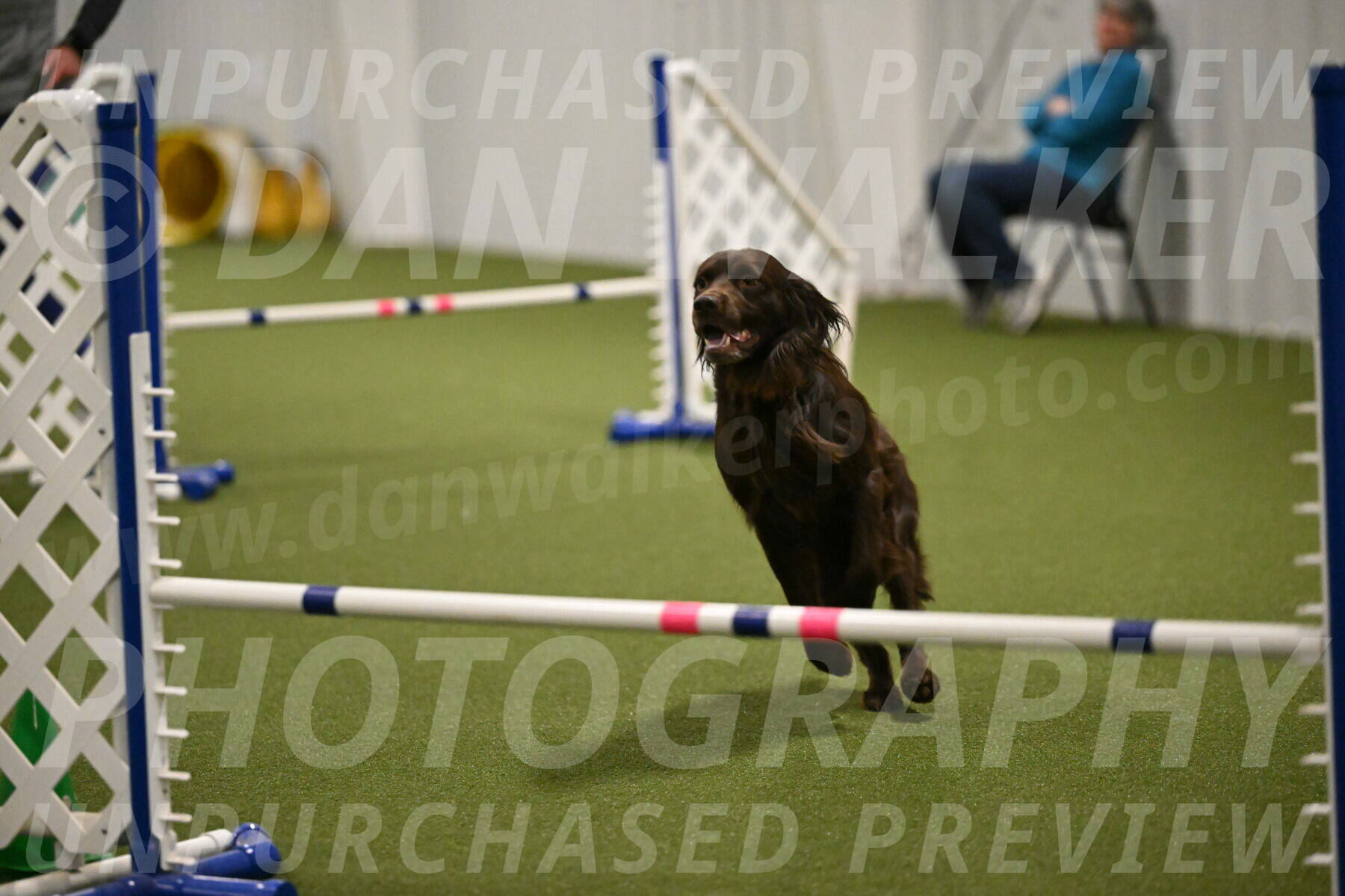 Gus-Jessica-Kotuba-09885