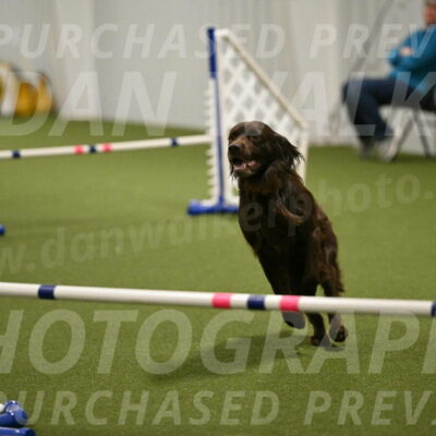 Gus-Jessica-Kotuba-09885